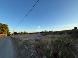 Alquiler de terreno en Totana photo 0