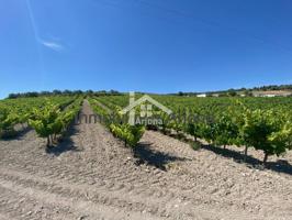 Finca rustica en venta en Lucena photo 0