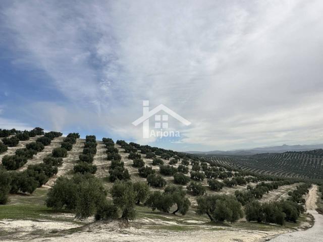 Finca rustica en venta en Lucena photo 0