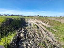 Terreno en venta en Lucena photo 0