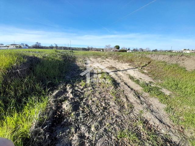 Terreno en venta en Lucena photo 0