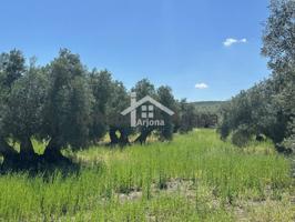 Finca rustica en venta en Navas del Selpillar photo 0