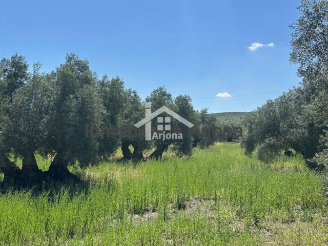 Finca rustica en venta en Navas del Selpillar photo 0