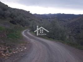 Finca de olivar en Montoro en venta photo 0