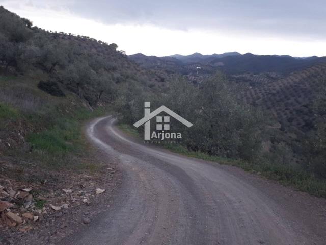 Finca de olivar en Montoro en venta photo 0