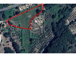 PISODAX vende finca de 6.900 m2 en plena sierra de Gredos. photo 0