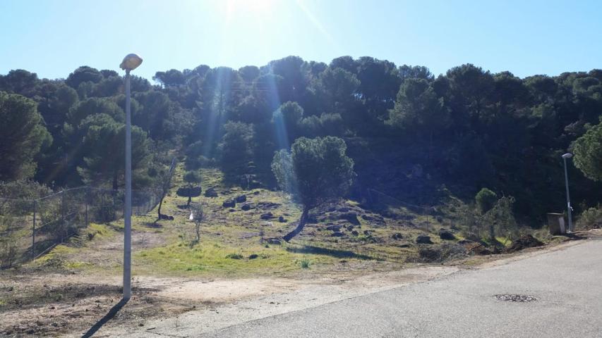 PARCELA URBANIZABLE EN LAS JARAS photo 0