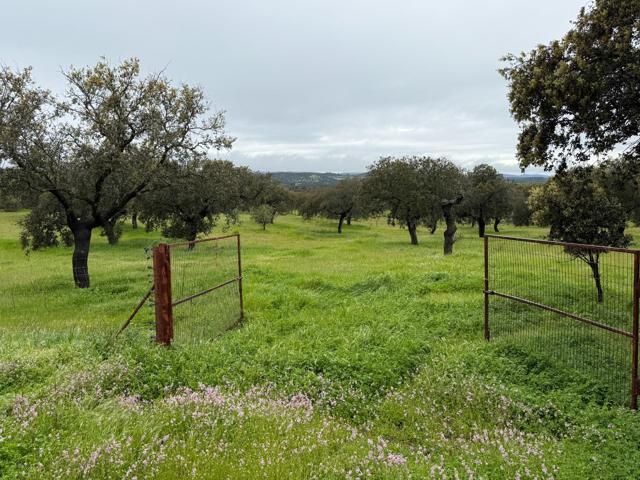 🌿 DEHESA EL ALFILEJO – ALCARACEJOS 🌿 photo 0