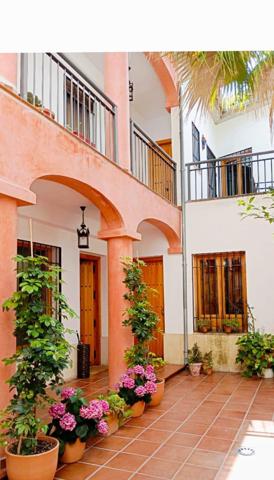 APARTAMENTO JUNTO A CORREDERA - PLAZA DEL POTRO photo 0