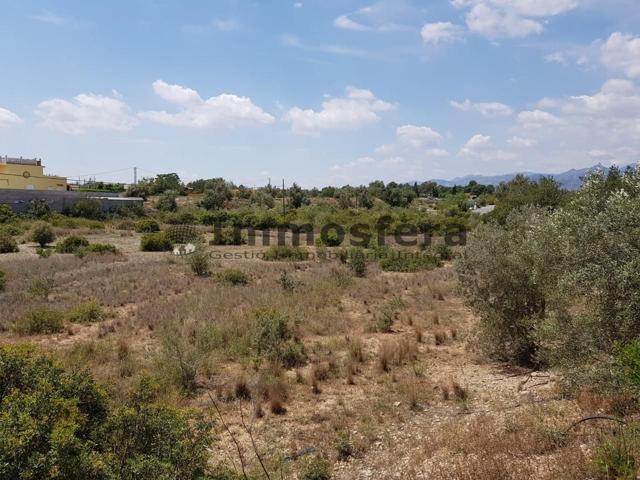 Finca rústica con posiblidad de agua photo 0