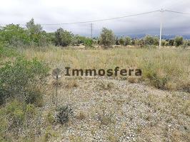 Terreno en venta en Ulldecona de 6290 m2 photo 0