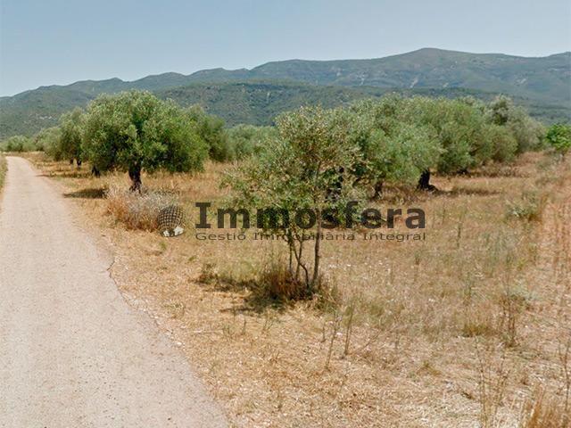 Finca rústica con buen acceso en Ulldecona photo 0