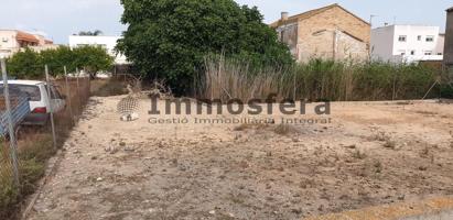 Parcela urbana en Deltebre photo 0