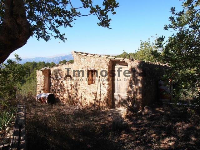 Finca rústica de 33.000m2 en Bítem photo 0