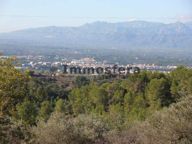 Finca rústica de 33.000m2 en Bítem photo 0
