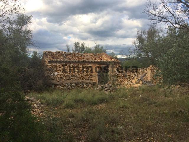 Finca Rústica en Tivenys con Plantación de secano photo 0