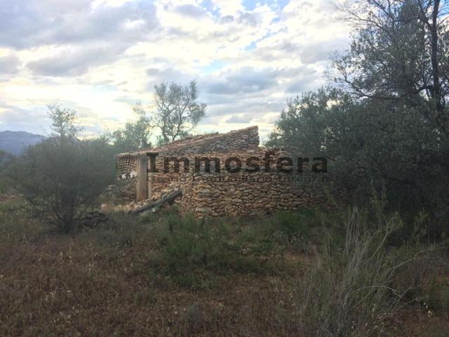 Finca Rústica en Tivenys con Plantación de secano photo 0