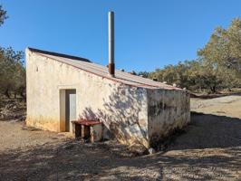 Finca con casa de campo en La Senia (Tarragona) photo 0