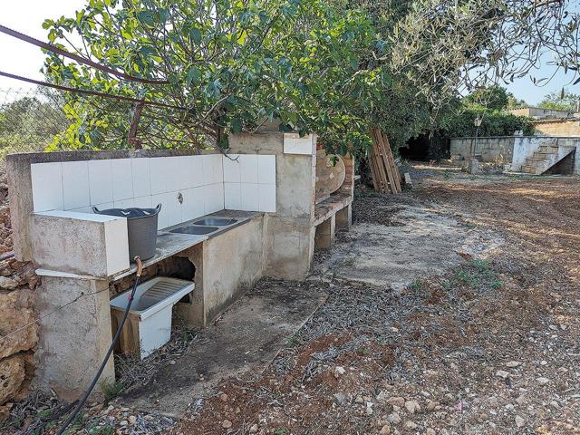 Finca Rústica con Balsa, Ulldecona photo 0