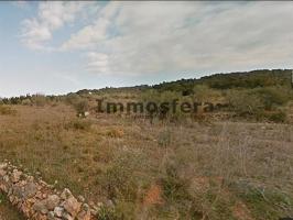 Finca rústica de secano en Ulldecona photo 0