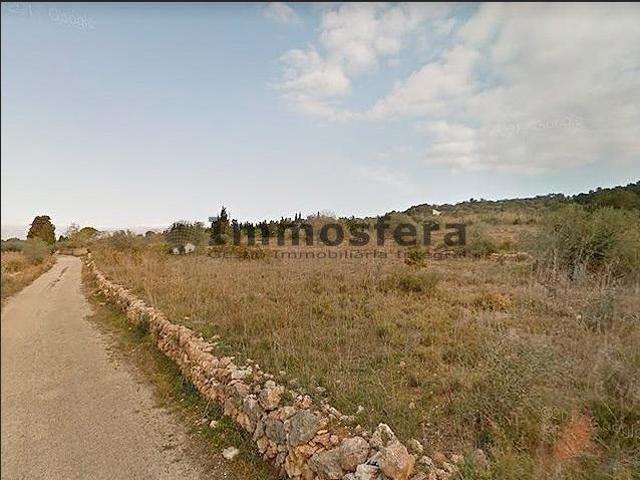 Finca rústica de secano en Ulldecona photo 0