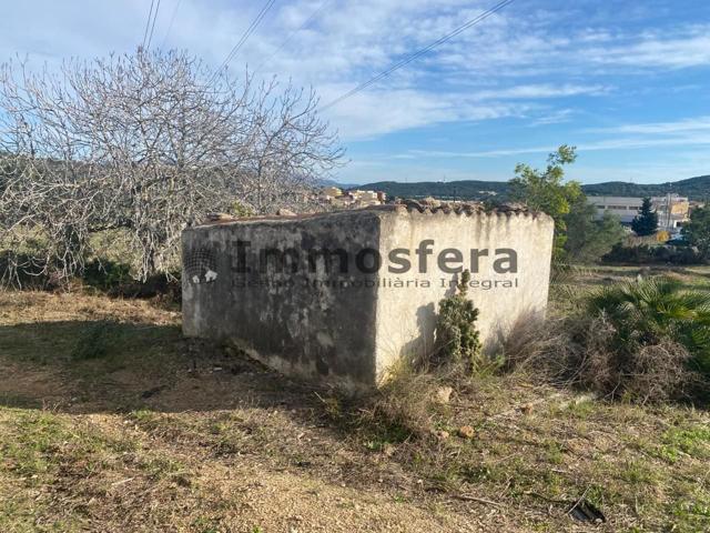 Finca rústica con caseta en El Perelló photo 0
