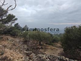 Finca rústica a solo 5 km de Tortosa photo 0