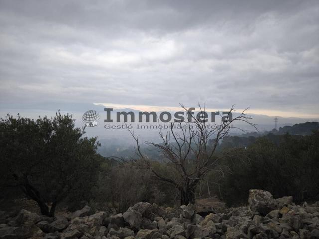 Finca rústica a solo 5 km de Tortosa photo 0