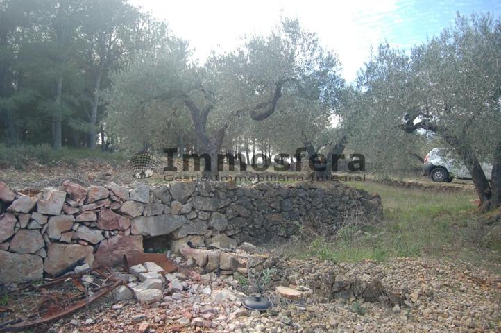 Finca Rústica en El Perelló, Tarragona photo 0