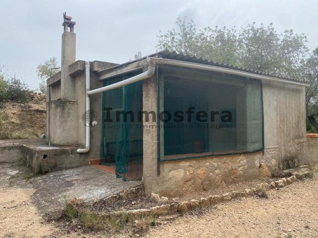 Finca Rústica en El Perelló, Tarragona photo 0
