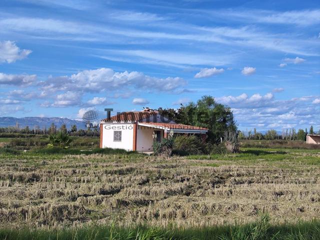 Finca con casa en el Delta del Ebro photo 0