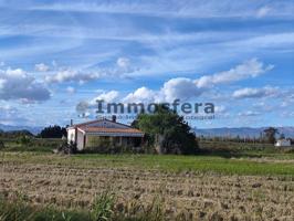 Finca con casa en el Delta del Ebro photo 0