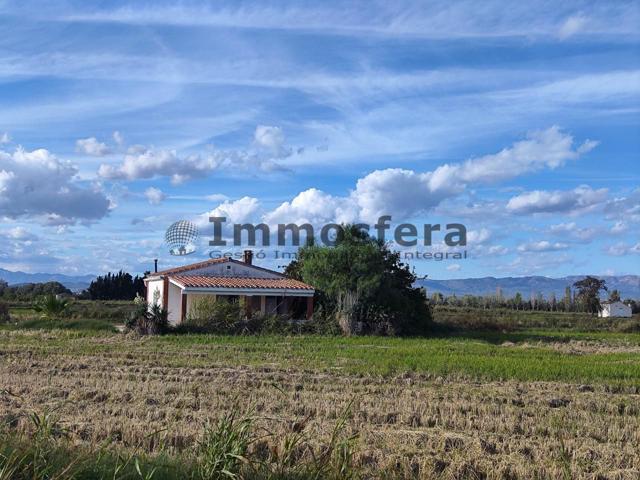 Finca con casa en el Delta del Ebro photo 0