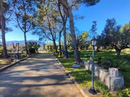 Finca rústica con casa de campo photo 0