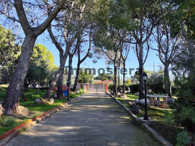 Finca rústica con casa de campo photo 0