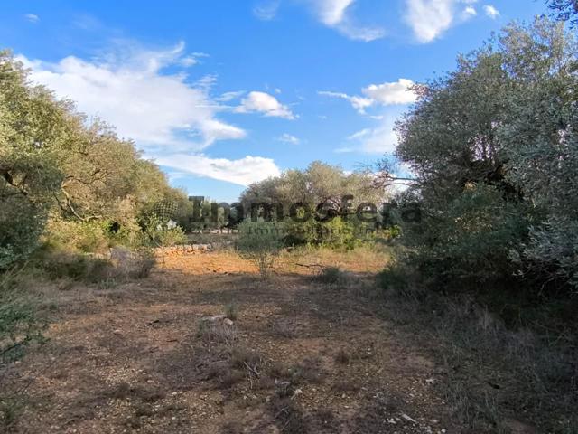 Finca en Tivenys photo 0