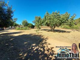 Terreno en venta en Este(11406) photo 0