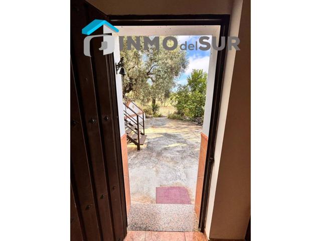 Finca con olivos y una casa en plena naturaleza. photo 0