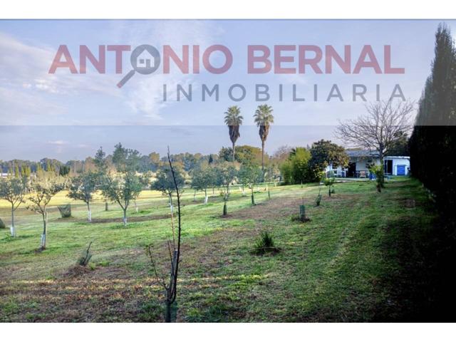 Casa rustica en venta en Rural(11593) photo 0