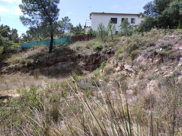 ¿Quiere venirse a vivir a plena Sierra Calderona, en Gátova? photo 0