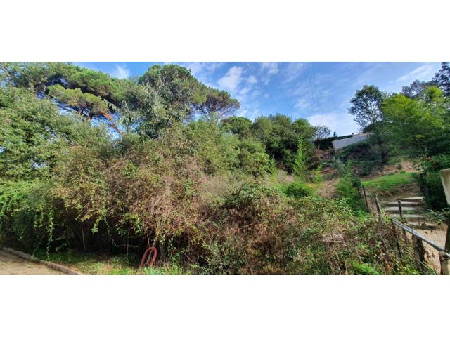 Terreno en venta en Santa Maria de Palautordera photo 0