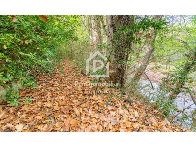 🏡 Casa con encanto junto al río en Sant Llorenç de la Muga – ¡Ideal como vivienda o proyecto turístico! photo 0