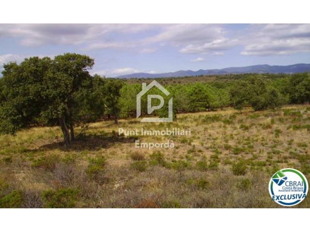 Terreno Rústico de 18000 m en Garriguella photo 0
