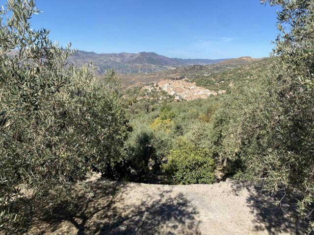 LANJARON - FINCA RUSTICA EN VENTA photo 0