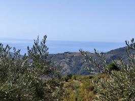 OTIVAR - CORTIJO EN VENTA photo 0