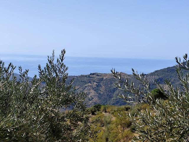 OTIVAR - CORTIJO EN VENTA photo 0