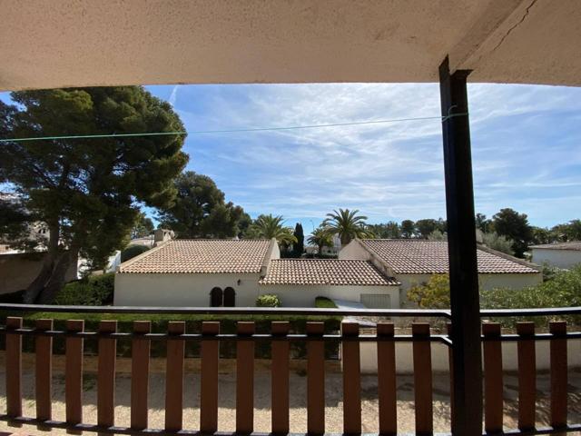 segunda línea photo 0