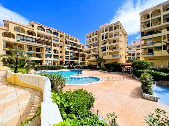 Encantador estudio cerca del mar en La Mata, Torrevieja photo 0