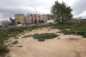 Terrenos Edificables En venta en Alquenencia, Alzira photo 0