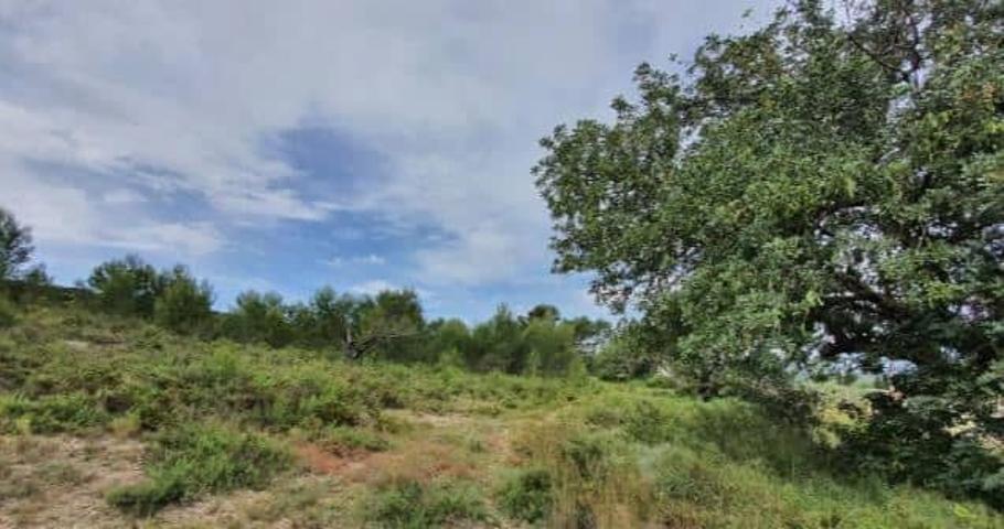 Terreno Urbanizable En venta en Santa Bárbara, Lliria photo 0